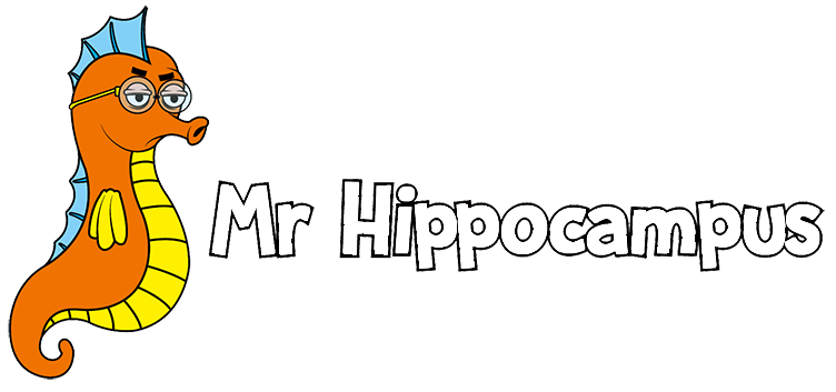 Mr Hippocampus: a community of connected people to advocate for lasting peace in Europe